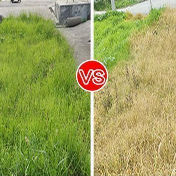🔥Powerful Concentrated Herbicide🔥