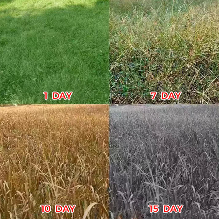 🔥Powerful Concentrated Herbicide🔥
