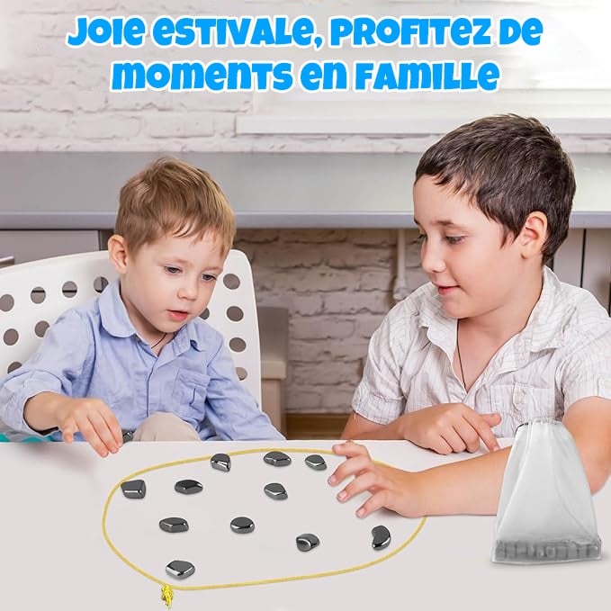 šMagnetic Chess Game