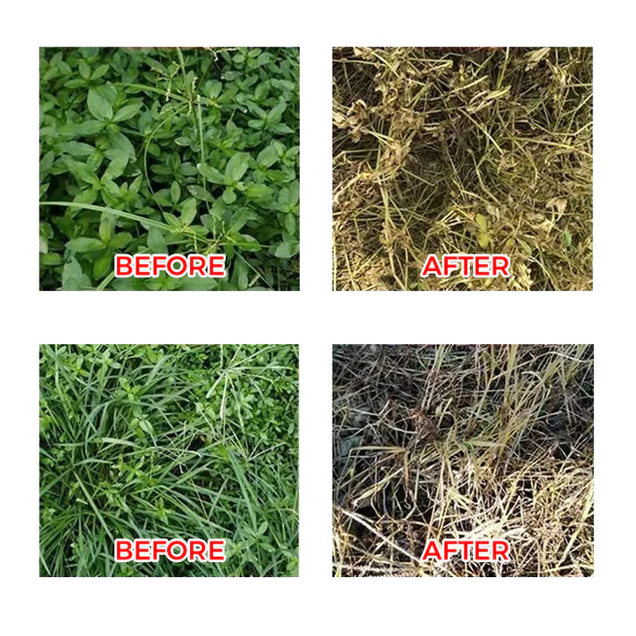 🔥Powerful Concentrated Herbicide🔥