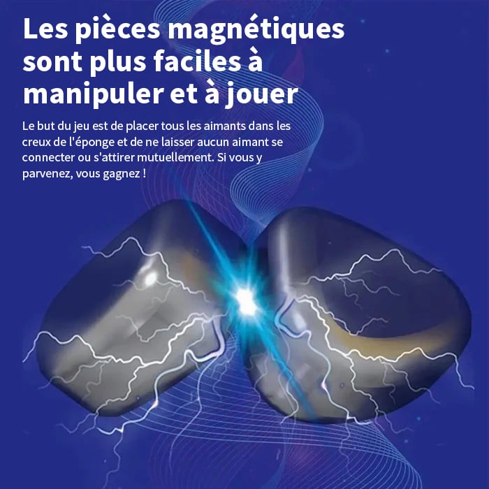 šMagnetic Chess Game