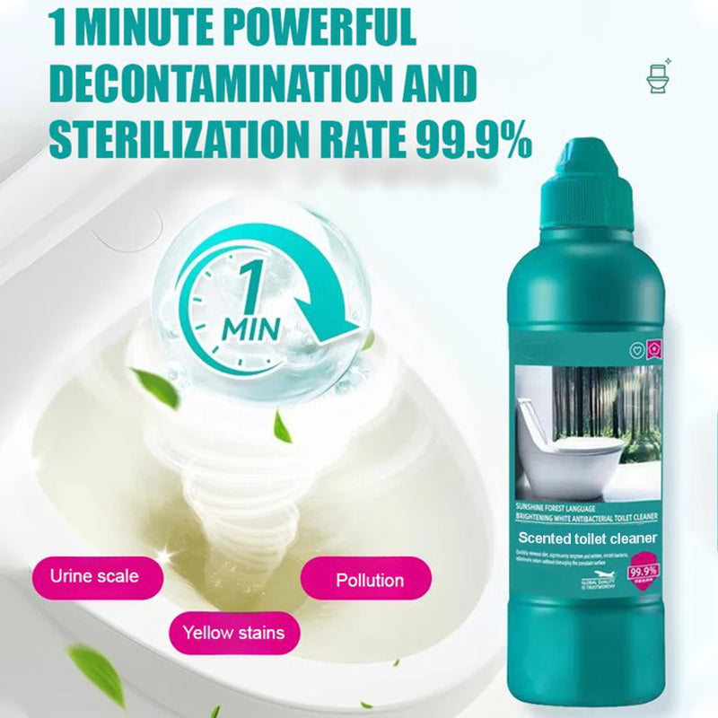 🔥New Hot Selling❤️🔥Quick Descaling & Long-Lasting Toilet Cleaner