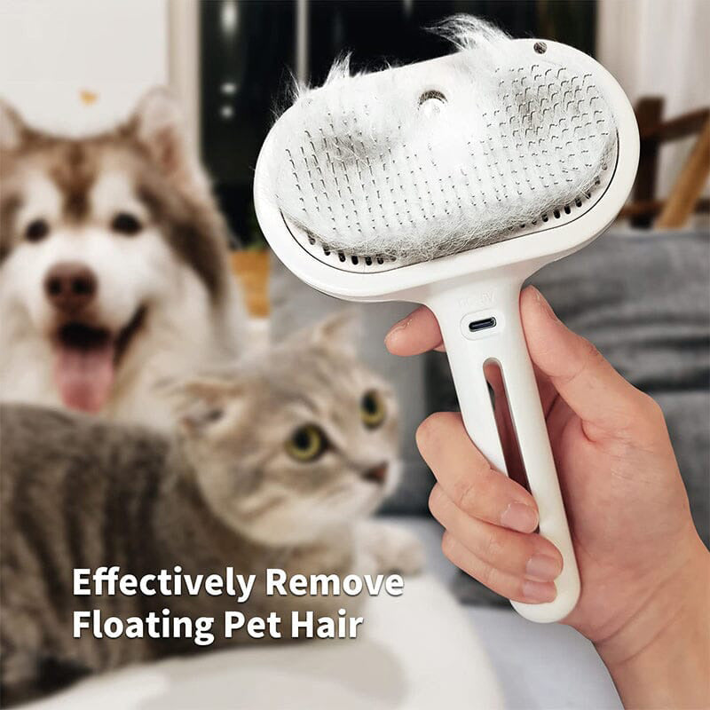 ✨HOT SALE 53% OFF🔥😽🐶Spray Pet Brush