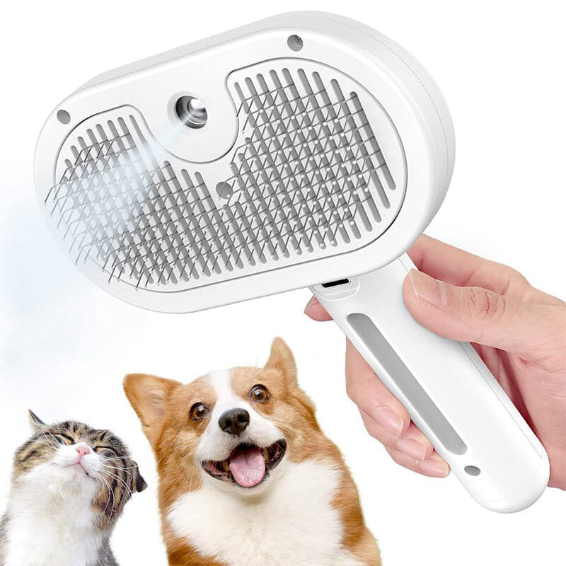 ✨HOT SALE 53% OFF🔥😽🐶Spray Pet Brush