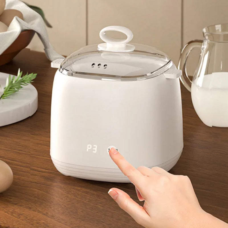 Smart Multi-Function Egg Cooker