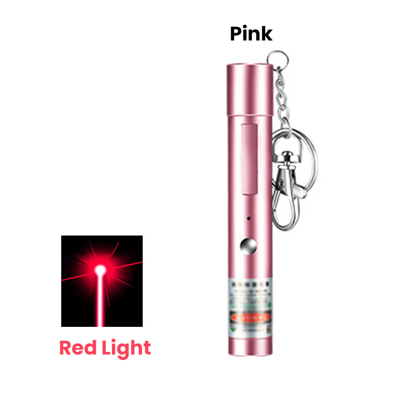 USB Rechargeable Laser Pointer