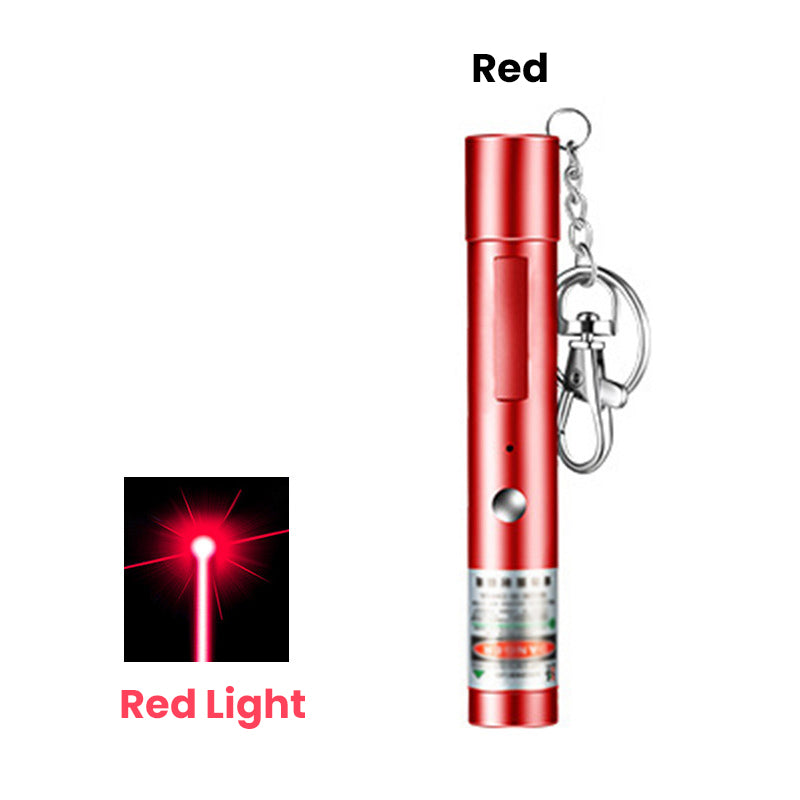 USB Rechargeable Laser Pointer