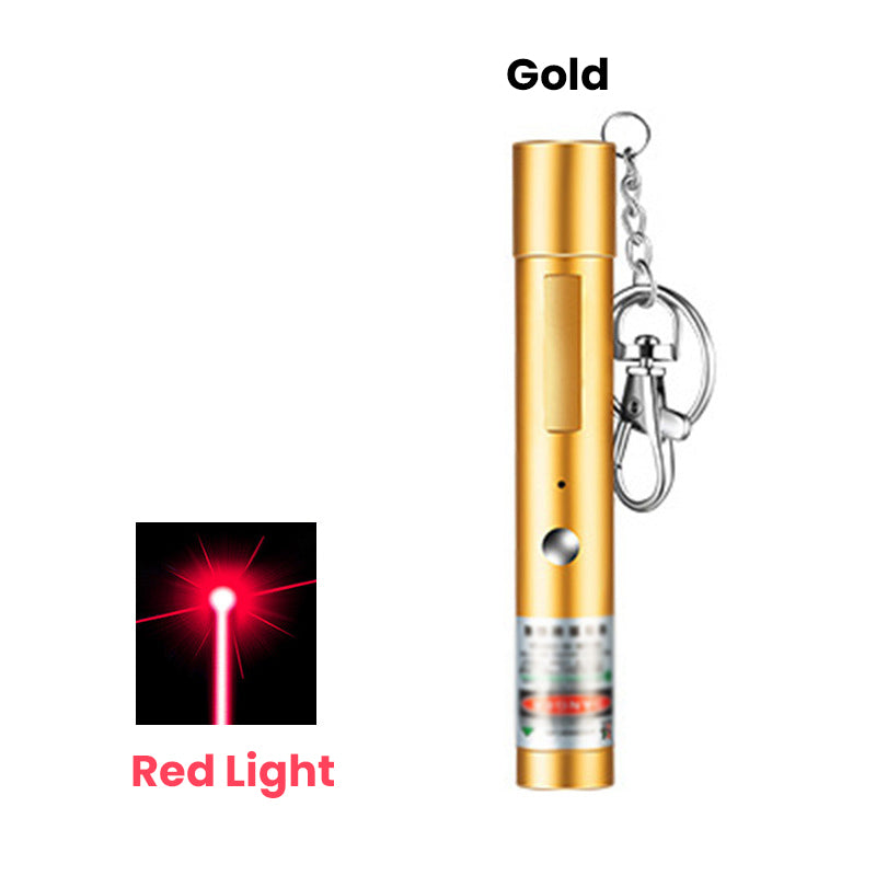 USB Rechargeable Laser Pointer