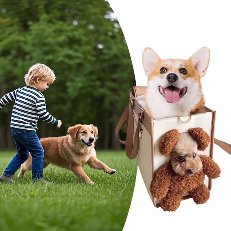 Portable Cute Pet Purse Carrier