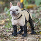 👢Adjustable Connected Dog Boots - Ultimate Paw Protection❤️