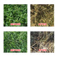 🔥Powerful Concentrated Herbicide🔥