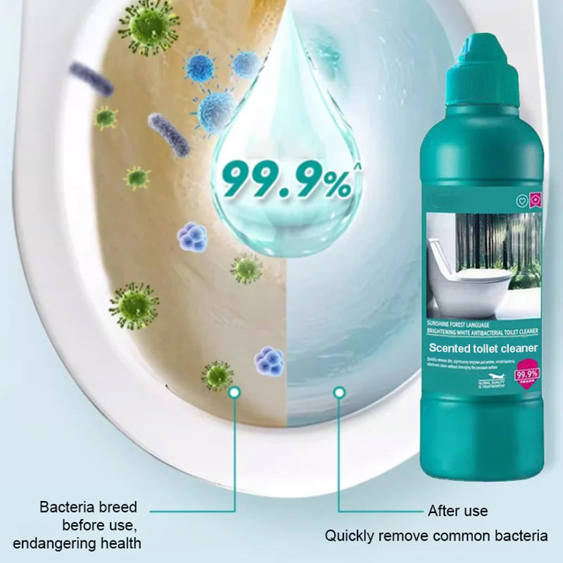 🔥New Hot Selling❤️‍🔥Quick Descaling & Long-Lasting Toilet Cleaner