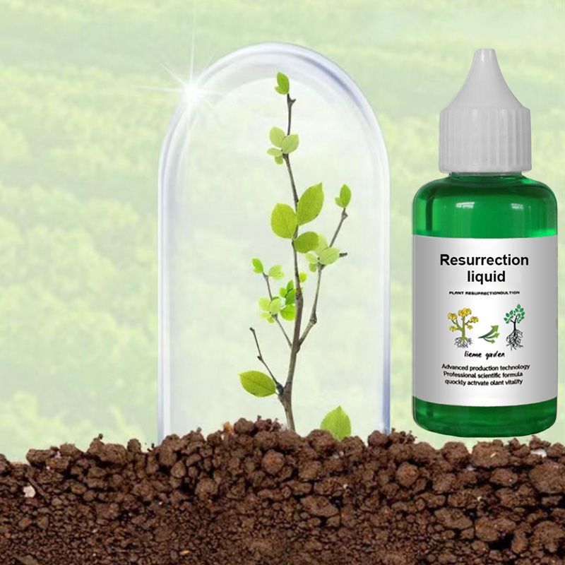 👍[Recommended by plant experts]🌿Plant and Flower Activation Liquid Solution-（Hot Sale🔥Buy 2 Get 3 Free）