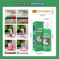 【2025 latest model】💥Efficient Paint Stripper🚀 50%~80% off for a limited time⏳