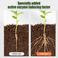 All-purpose Rooting Solution for All Plants（50% OFF）