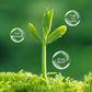 All-purpose Rooting Solution for All Plants（50% OFF）