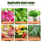 All-purpose Rooting Solution for All Plants（50% OFF）