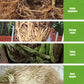 All-purpose Rooting Solution for All Plants（50% OFF）
