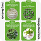 All-purpose Rooting Solution for All Plants（50% OFF）
