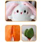 Cute Persimmon Rabbit & Pig Plush Toy