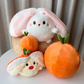 Cute Persimmon Rabbit & Pig Plush Toy