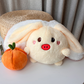Cute Persimmon Rabbit & Pig Plush Toy