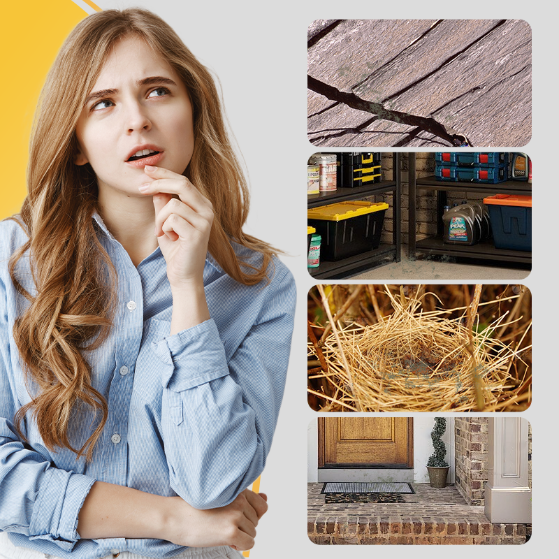 🔥Rodent Control Device🐭 Peppermint Oil Rodent Repellent Spray