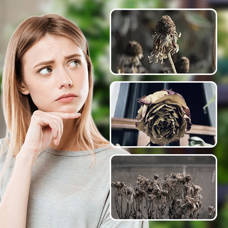 Intelligent Portable Solar Watering Device