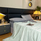Cozy Soft Antibacterial Summer Cool Quilt - Quilt Only