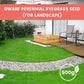 Grass Seeds for Lawn and Golf Course