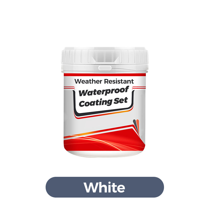 🔥2025 Hot Sale 🔥Weather Resistant Waterproof Coating Set