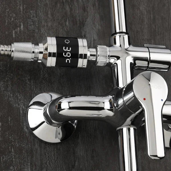 Shower Thermometer