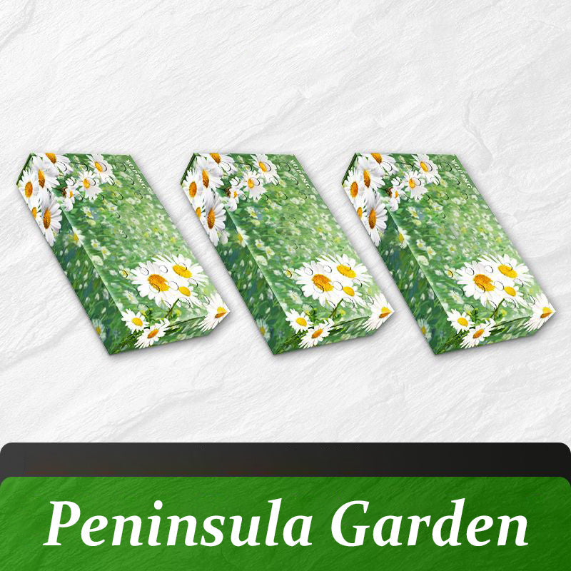 160g Car Solid Air Freshener - Pregnant & Baby Safe